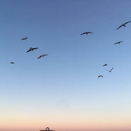 Sloneczny Wylotowa Apartment